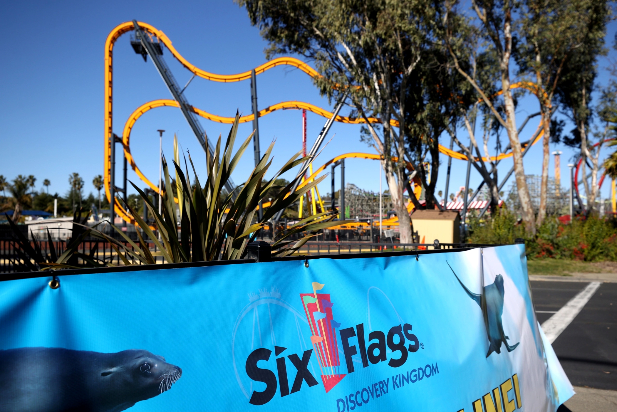 The newly merged Six Flags Entertainment reported strong second quarter results, though July was disrupted at some parks by severe weather. (Getty Images)