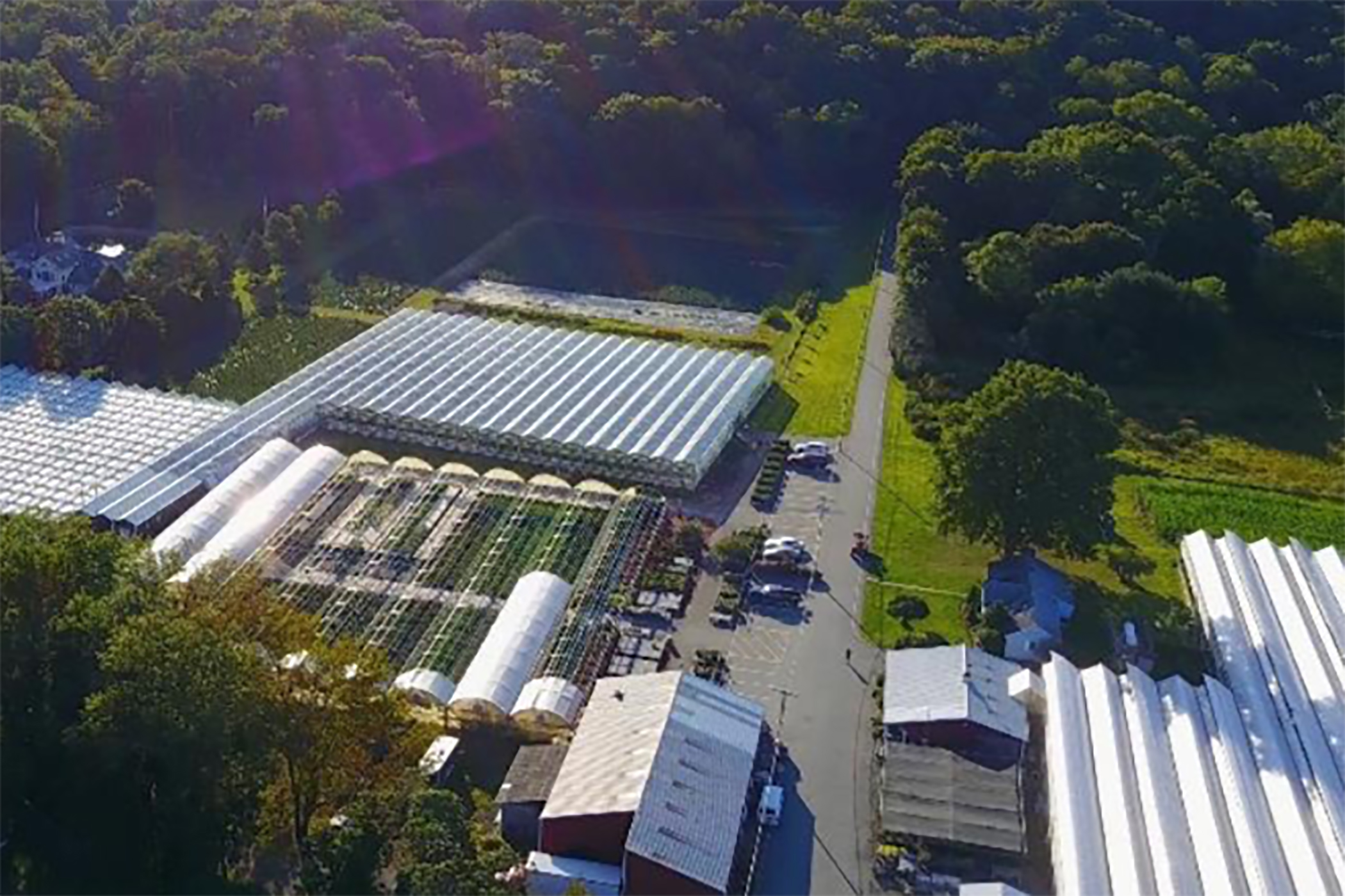 TerrAscend Begins Medical Marijuana Cultivation in New Jersey