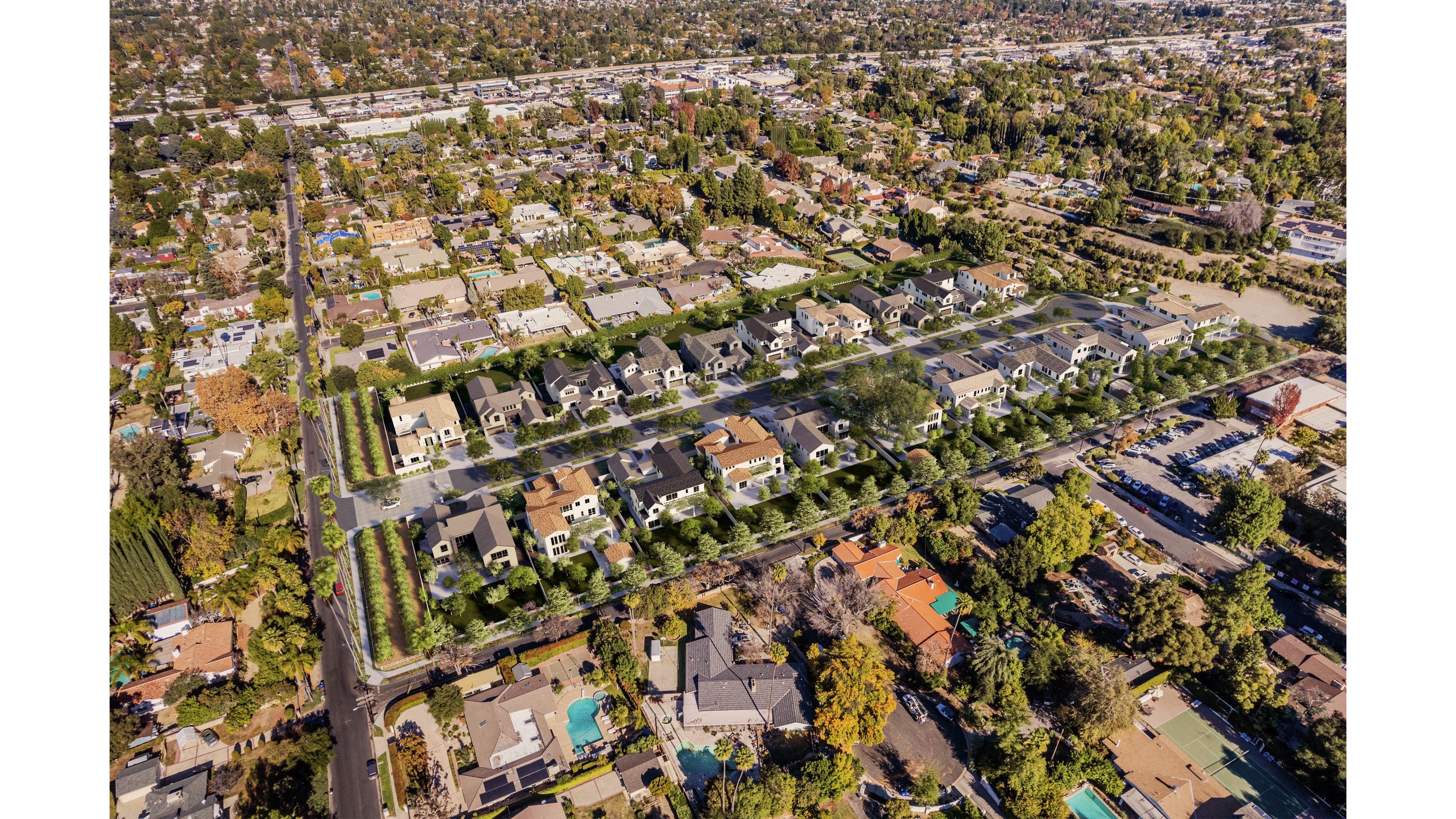 A rendering of the proposed 21-home development on the former Bothwell family property, including two rows of preserved orange trees at the subdivision entrance at left. (Borstein Enterprises)