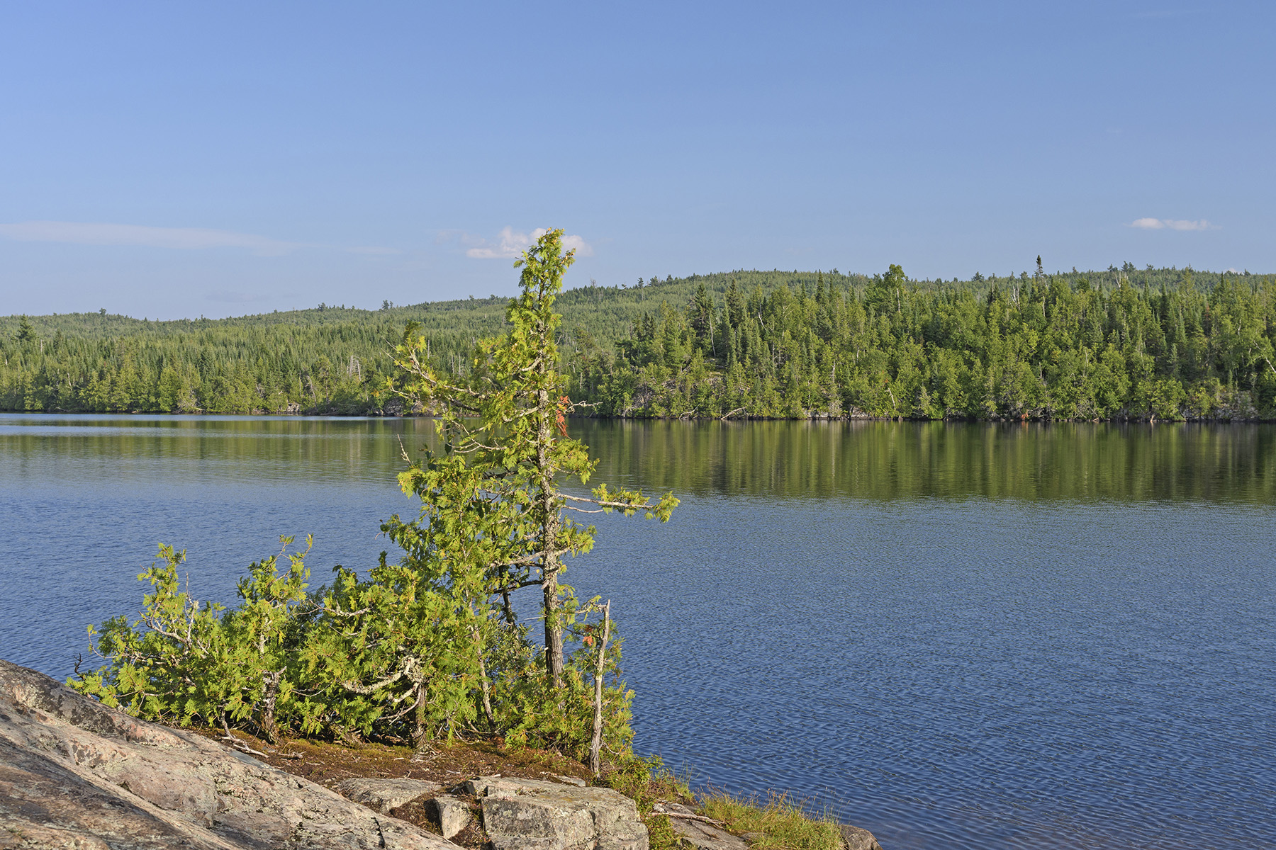 REIT Sells 72,000 Acres of Minnesota Forest Land