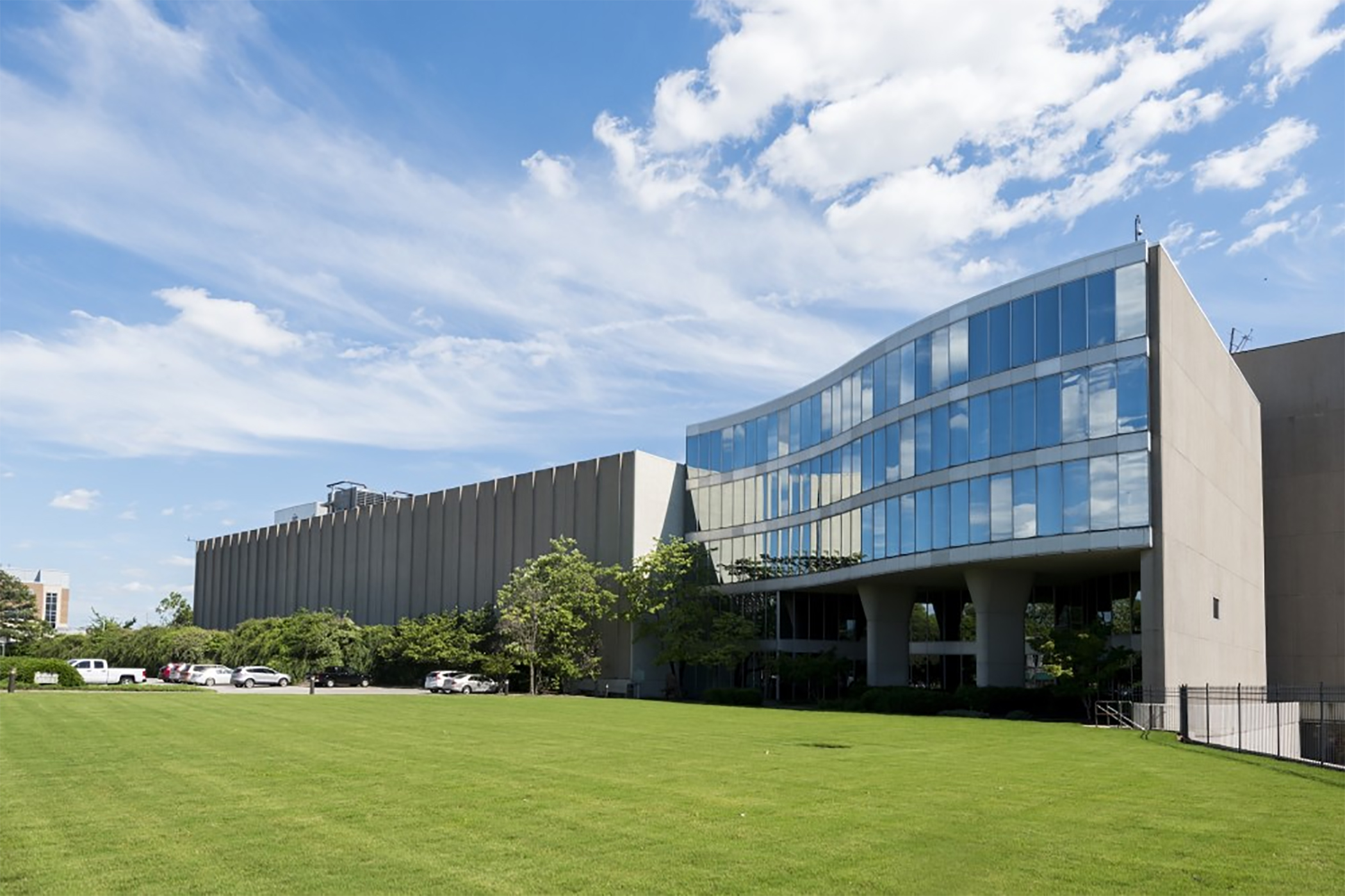 Puppies For Sale In Memphis Tn Commercial Appeal