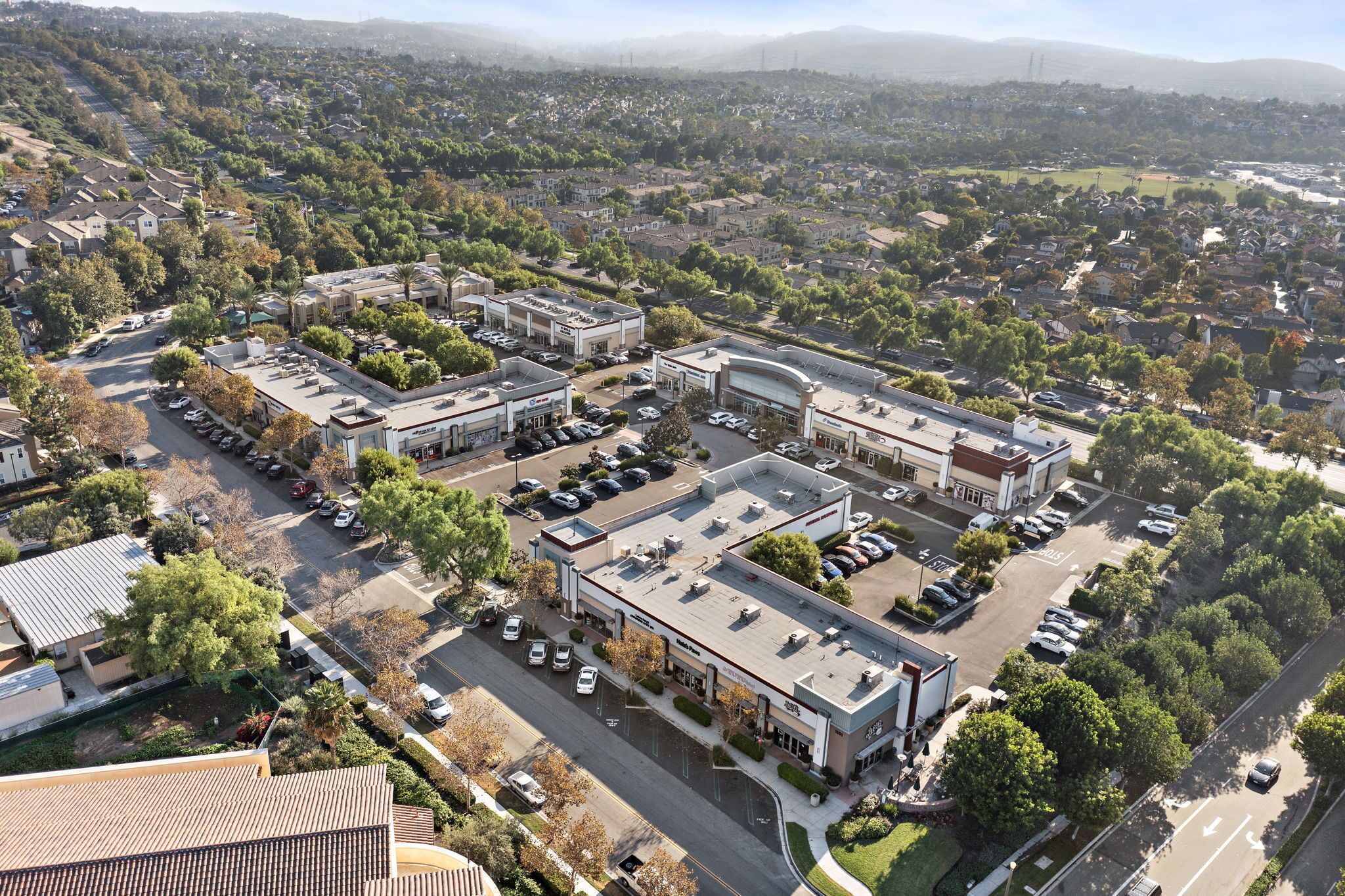 The 10,000-square-foot Terrace Shops features an animal hospital, nail spa, drycleaners and dance school among other service tenants. (CoStar)