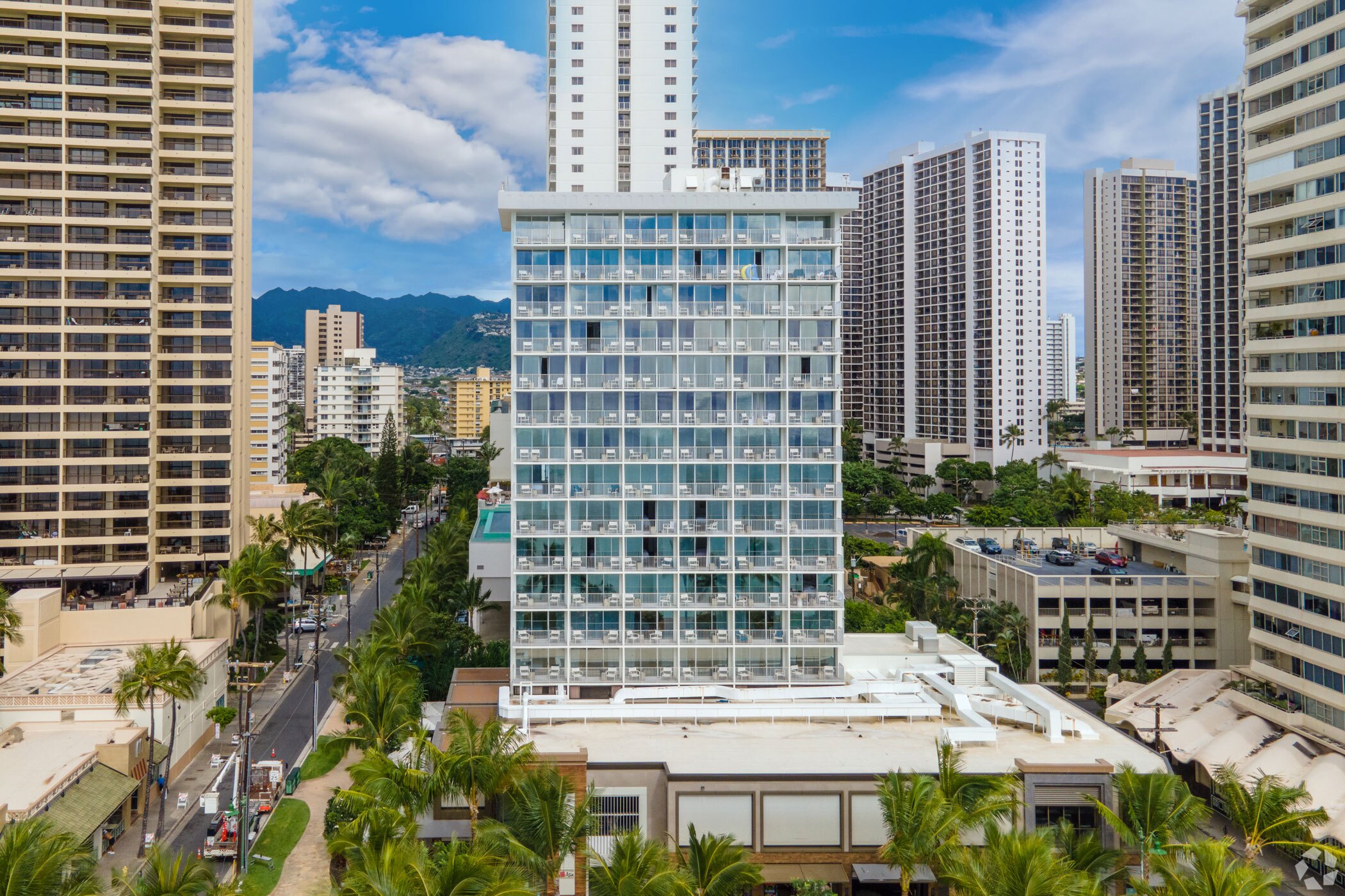 Highgate CEO Hopes Transparency Will Bring More Environmental Efforts