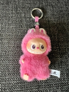 PopMart’s furry Labubu toys sparked a global craze. (Brannon Boswell/CoStar)