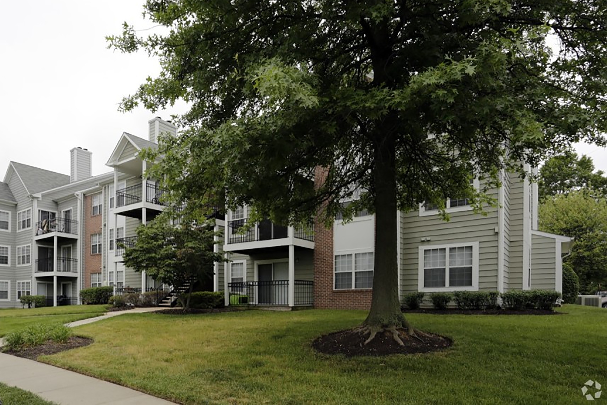 Apartment Bargains Grow Elusive in Northern Virginia With Amazon Coming