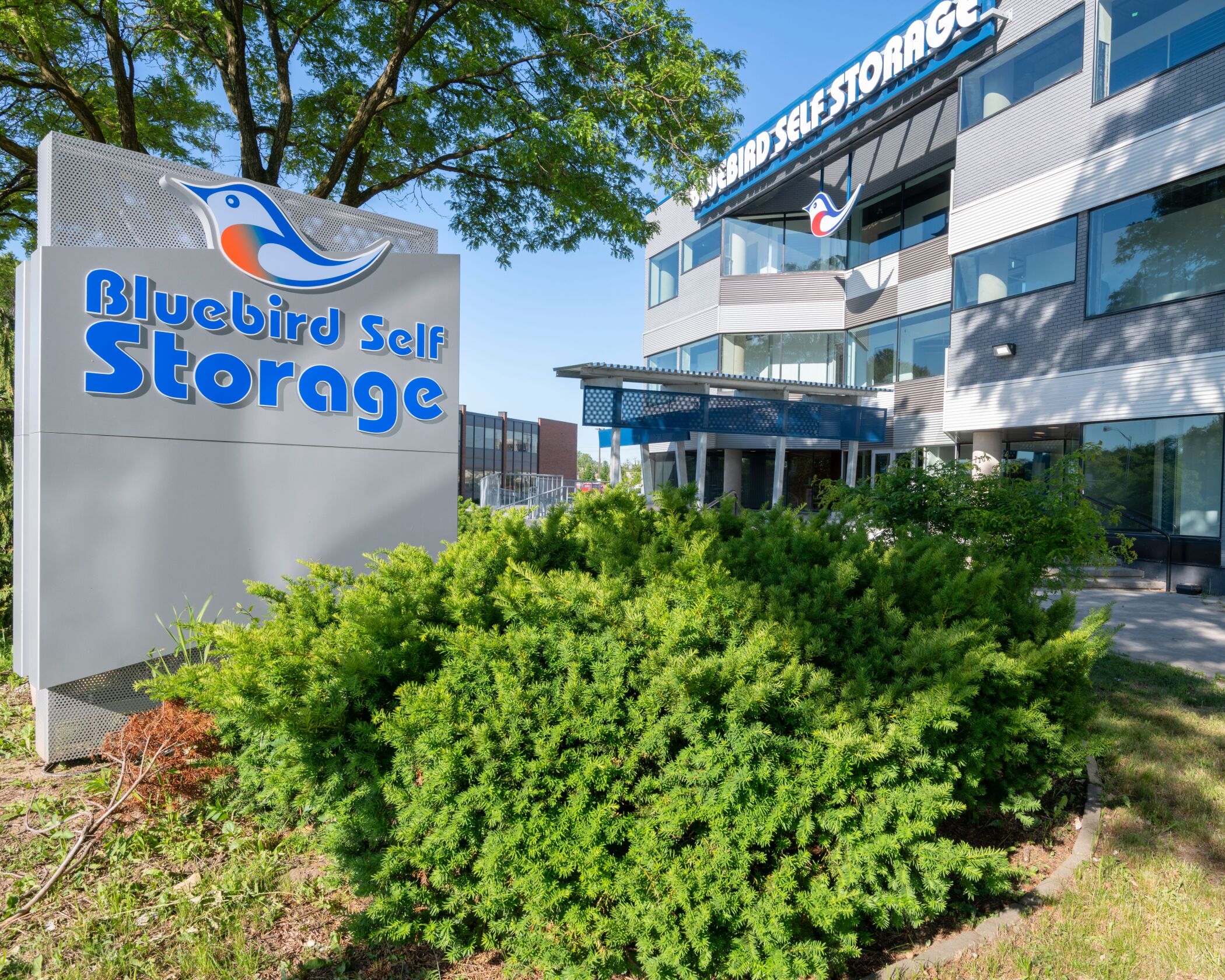 Bluebird Self Storage Sets Up ThirdParty Management Arm