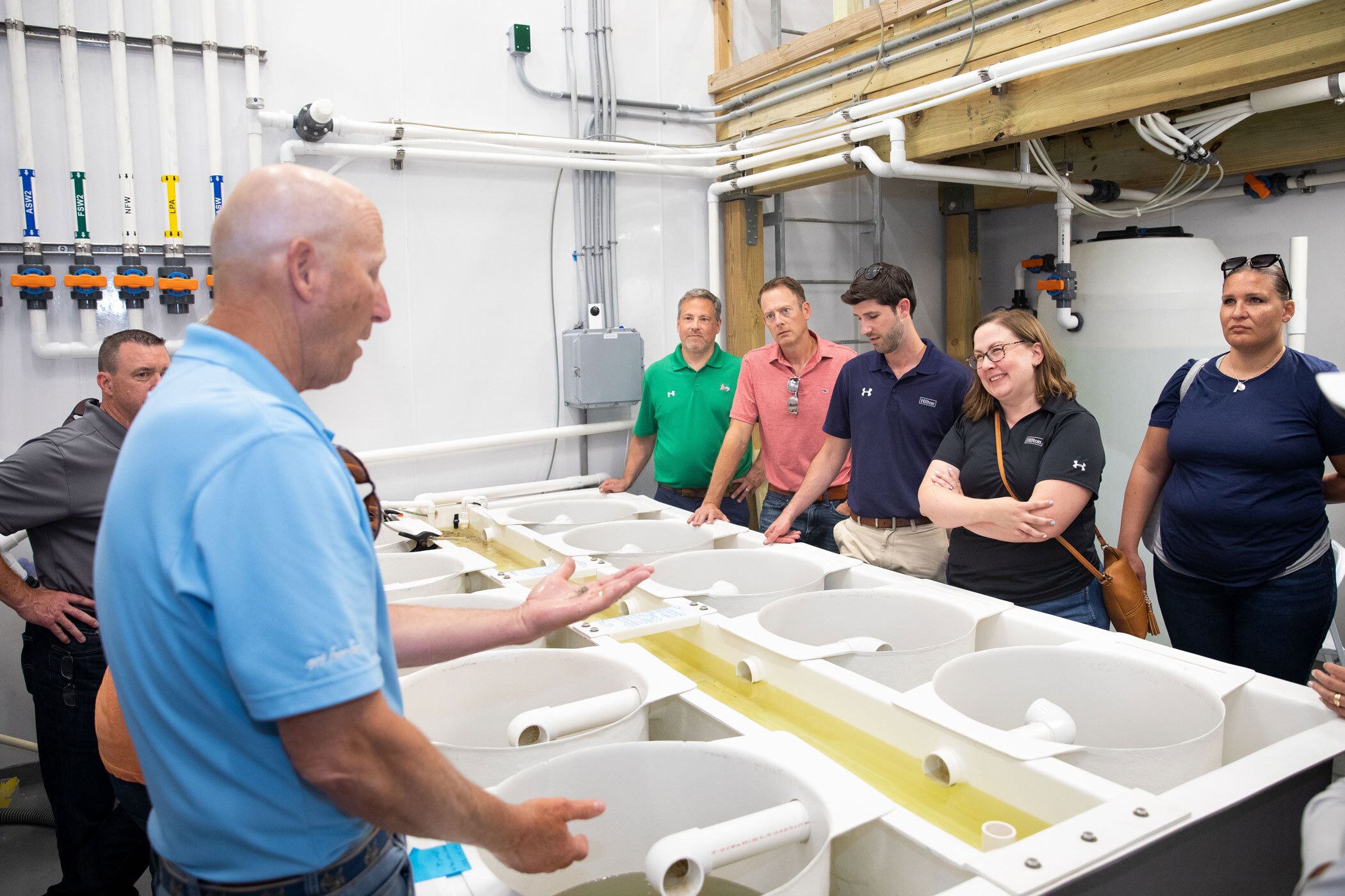 Why Supplier Diversity Has Improved Hilton's Procurement for Hotels