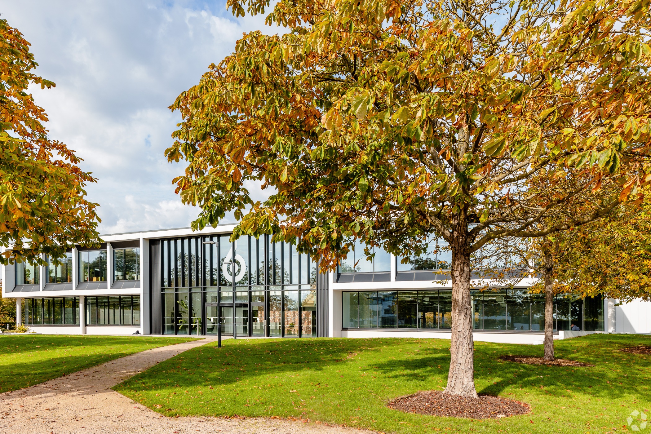 Reckitt Secures Entire 6 Roundwood Avenue Office Space