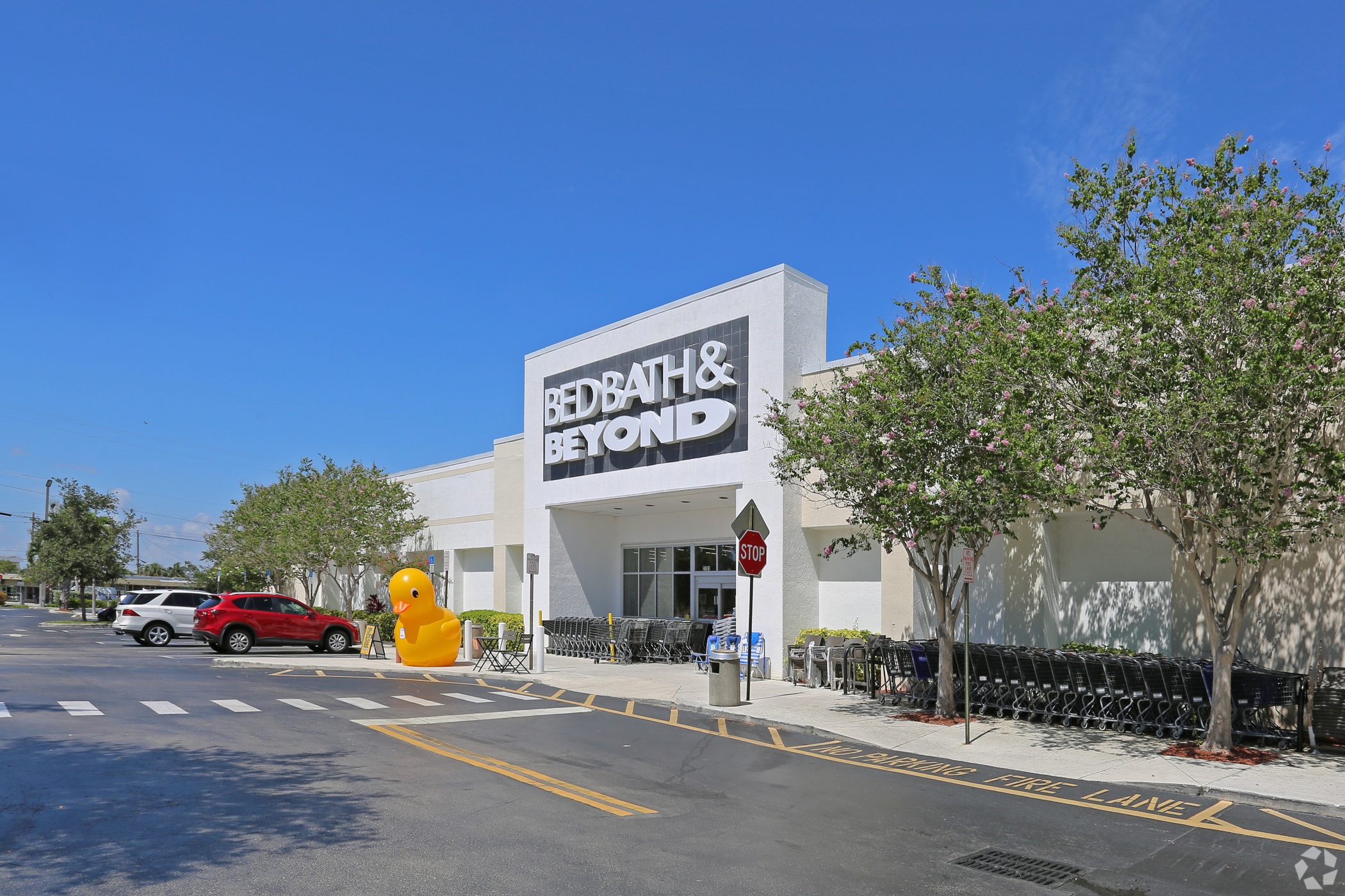 Bed Bath & Beyond Defers 150 Million in Capital Spending Due to Pandemic