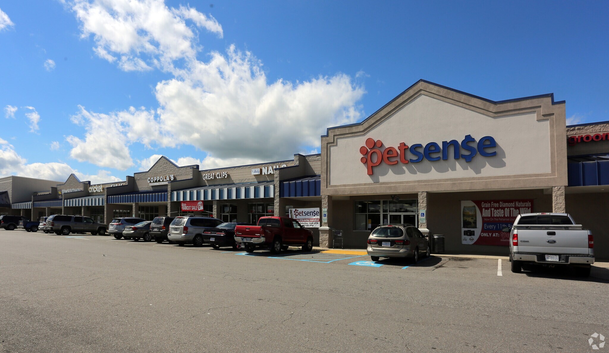 News | Tractor Supply to close 75 Petsense stores in portfolio shake-up